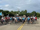 113年道路采風親子運動嘉年華 (17)