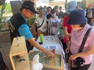 2024臺中市清水區舞後樂光暨節約用電宣導活動 (4)