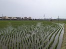 114年綠色環境給付計畫-1