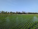 114年綠色環境給付計畫-3