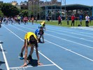 臺中市清水區114年全區運動大會暨體育嘉年華 (21)