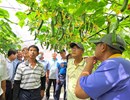 114年農業講習暨農業政策宣導活動 (3)