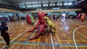 115年全區運動大會暨清水區體育嘉年華會 (74)