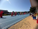 115年全區運動大會暨清水區體育嘉年華會 (36)