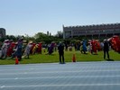115年全區運動大會暨清水區體育嘉年華會 (26)