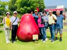 臺中市清水區115年農業幹部參訪農業建設及節約用電教育訓練活動 (9)